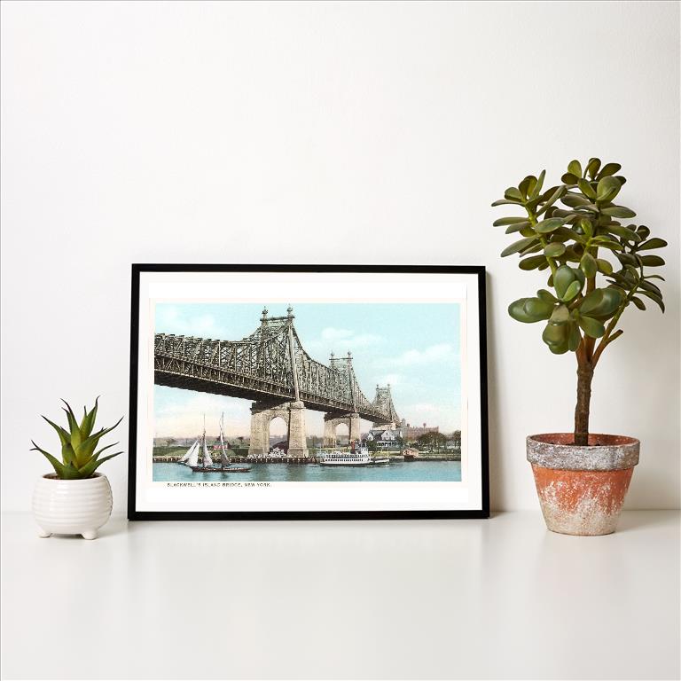 Art Print NY-776