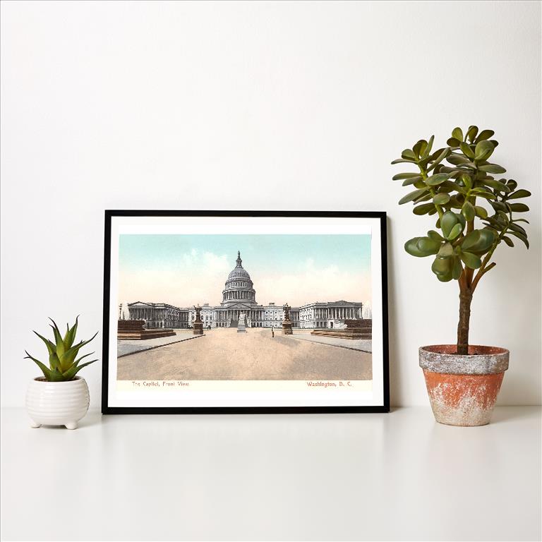 Art Print DC-249