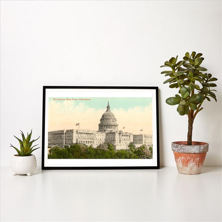 Art Print DC-29