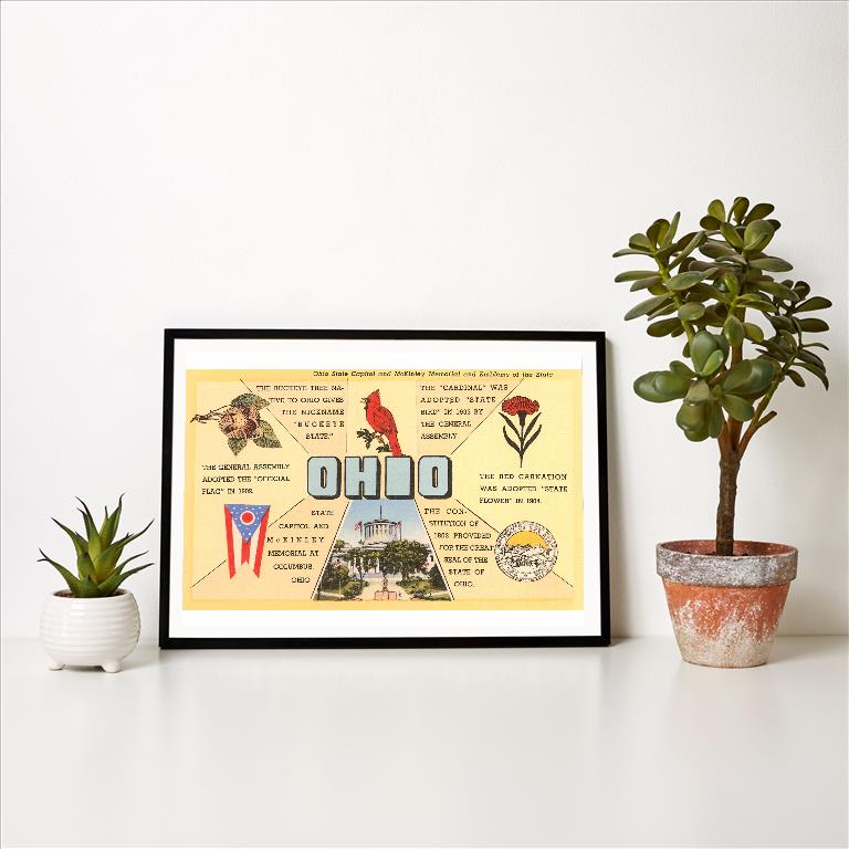 Art Print OH-254