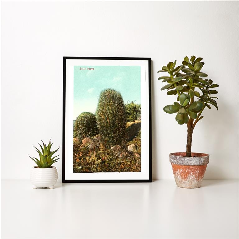 Art Print AZ-40