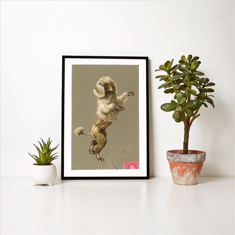 Art Print DG-63