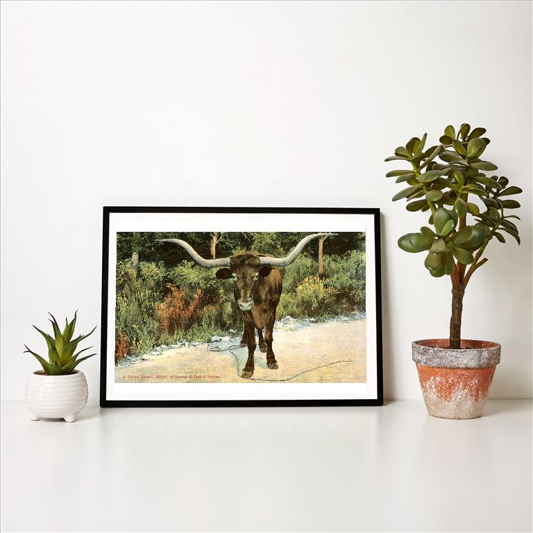 Art Print TX-182