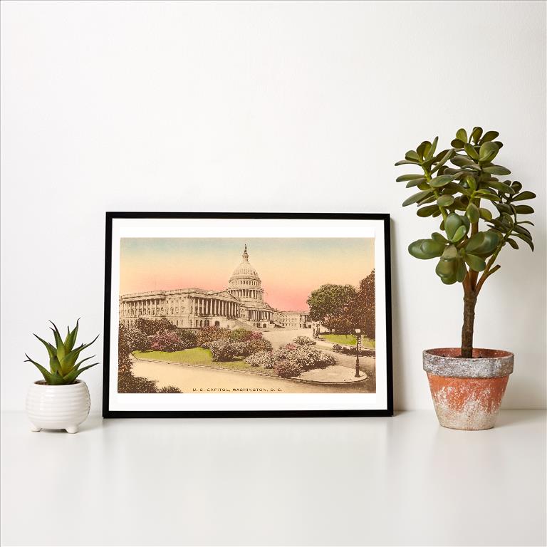 Art Print DC-251