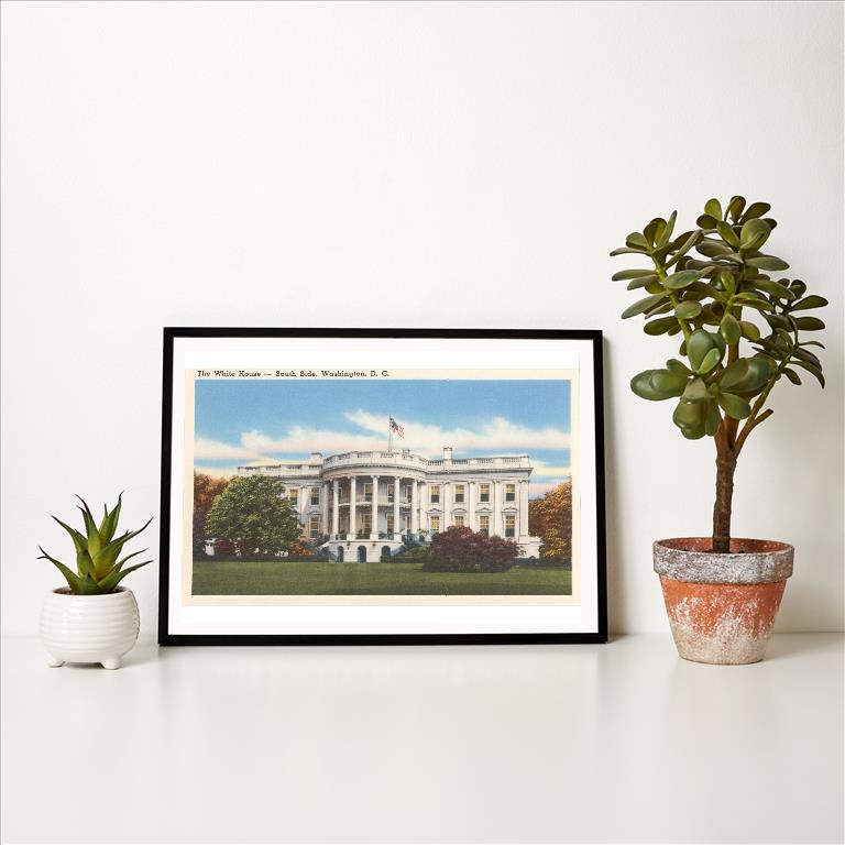Art Print DC-196