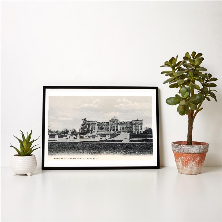 Art Print NY-990