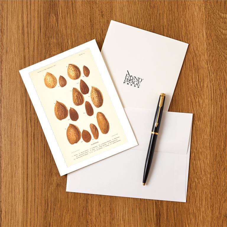 Greeting Card FO-648