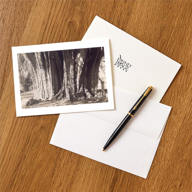 Greeting Card MX-518