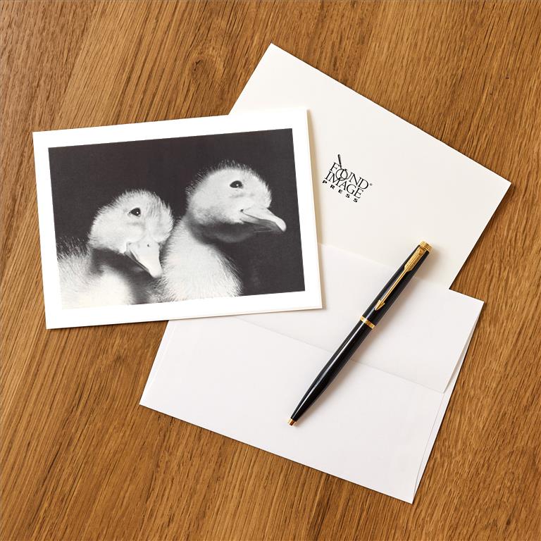 Greeting Card BD-455