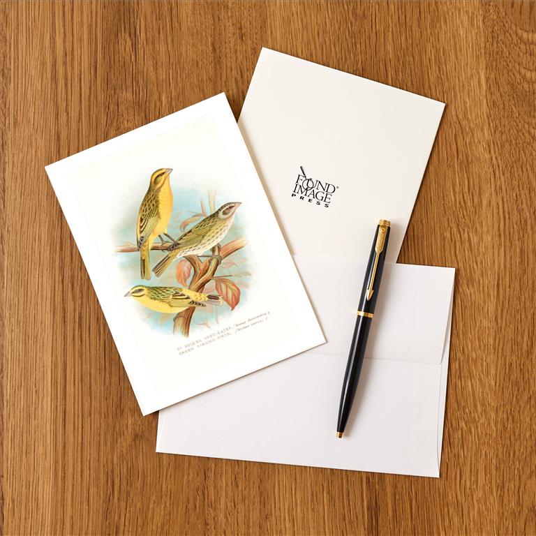 Greeting Card BD-513