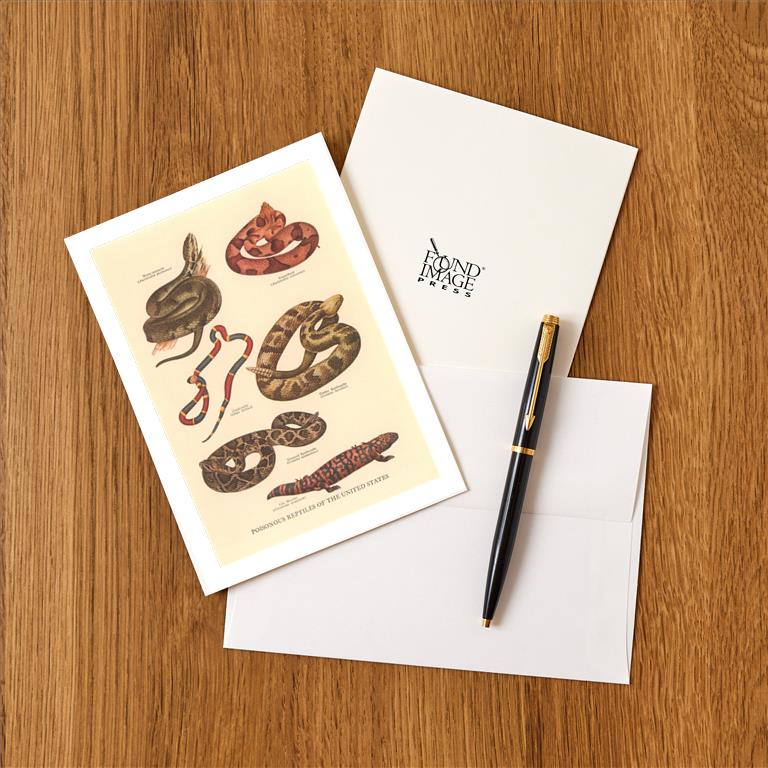 Greeting Card AN-373