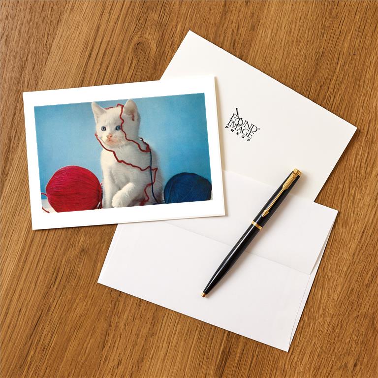 Greeting Card KC-263