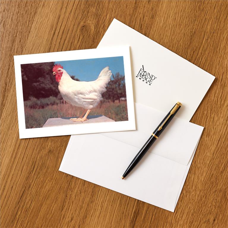 Greeting Card NP-431