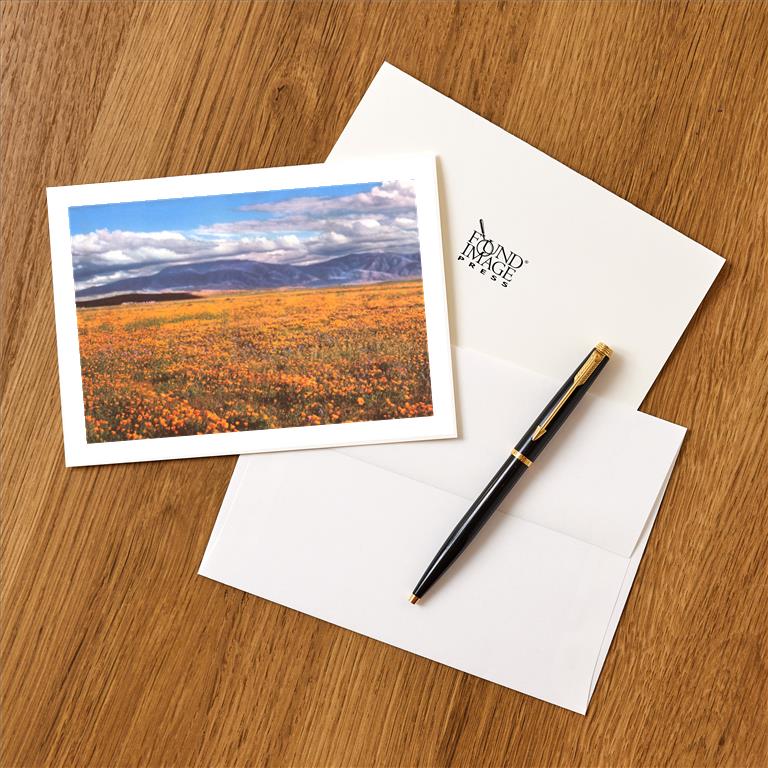 Greeting Card CA-1333