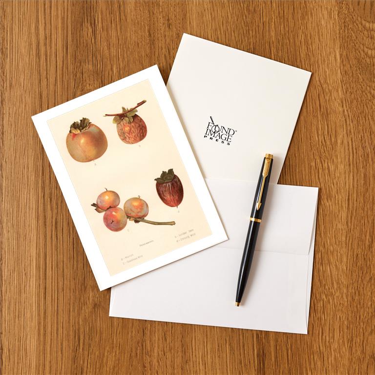 Greeting Card FO-146