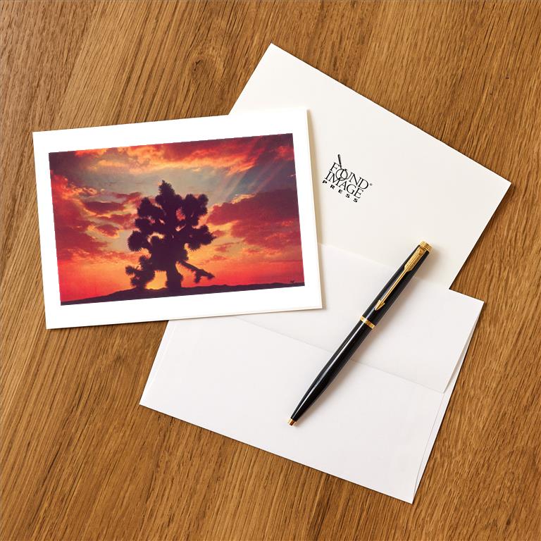 Greeting Card CD-229