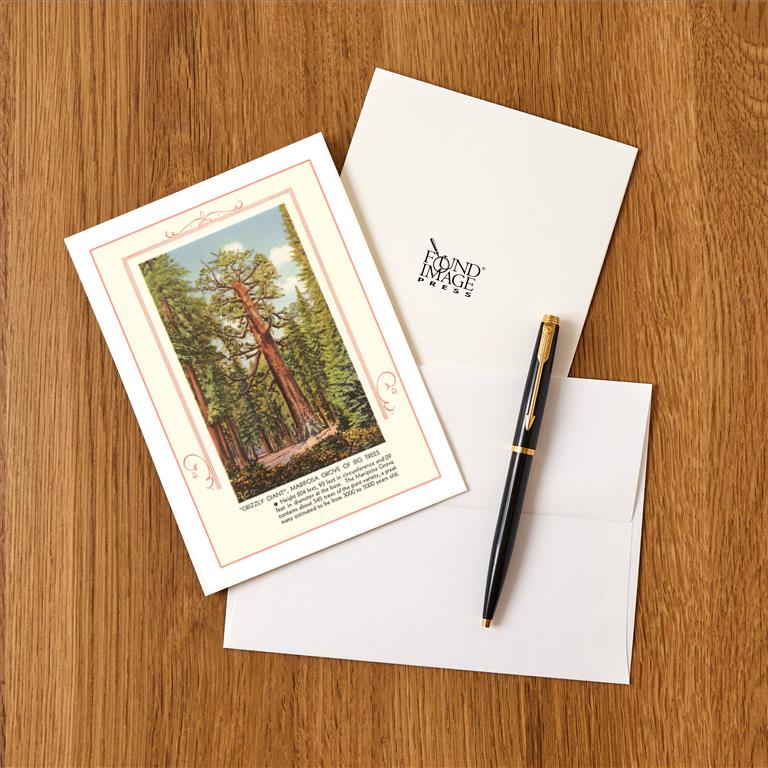 Greeting Card CA-569