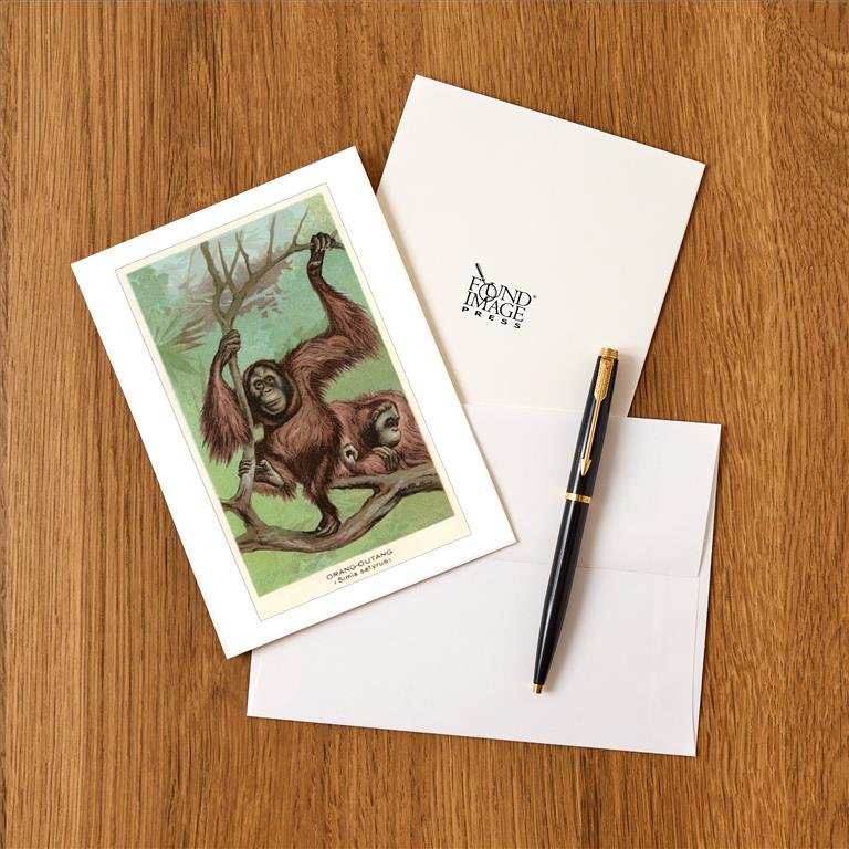 Greeting Card AN-164