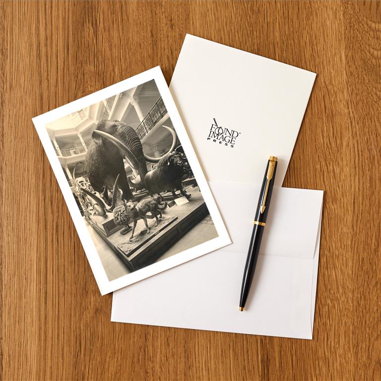 Greeting Card AN-362