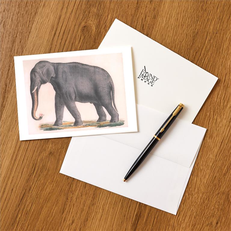 Greeting Card AN-691