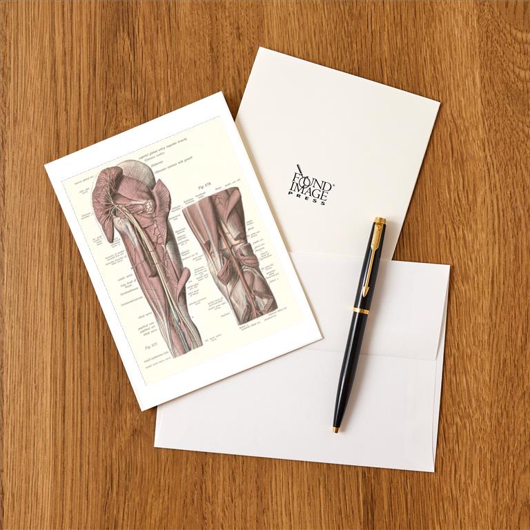 Greeting Card AY-163