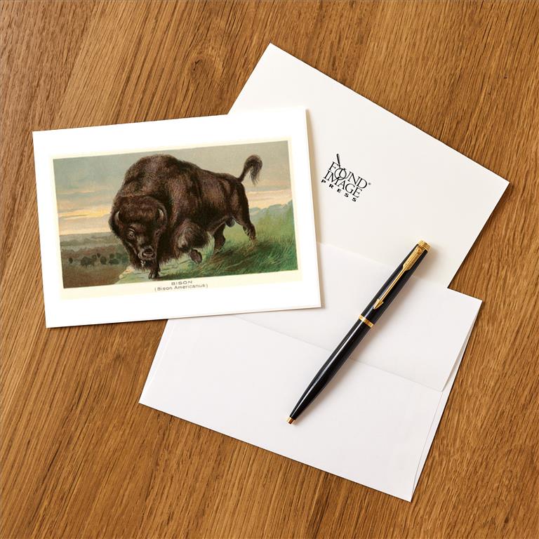 Greeting Card AN-146