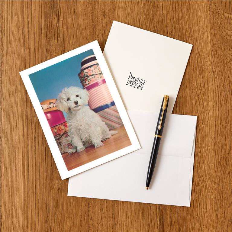 Greeting Card DG-224