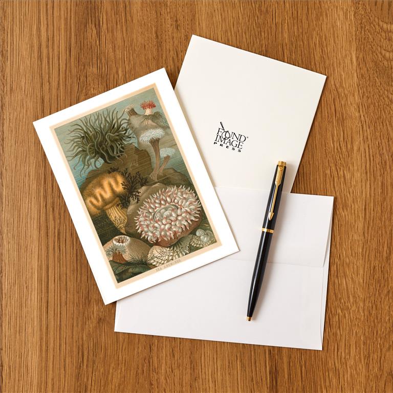 Greeting Card TS-195