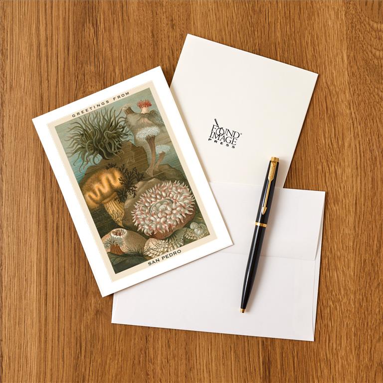 Greeting Card CA-1516