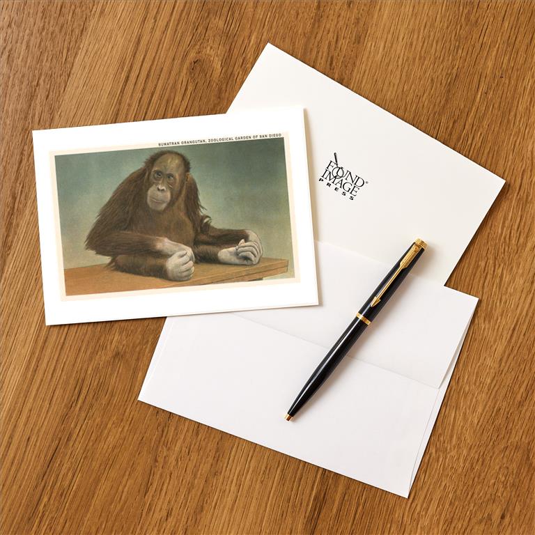 Greeting Card SD-346