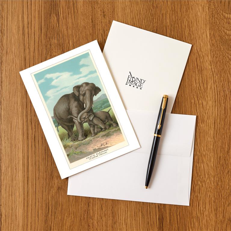 Greeting Card AN-147