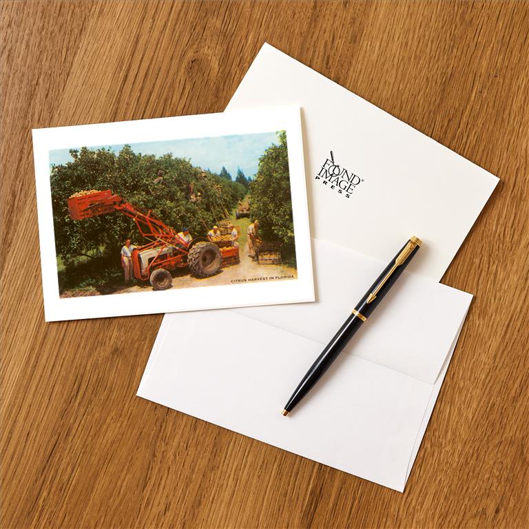Greeting Card FL-1099