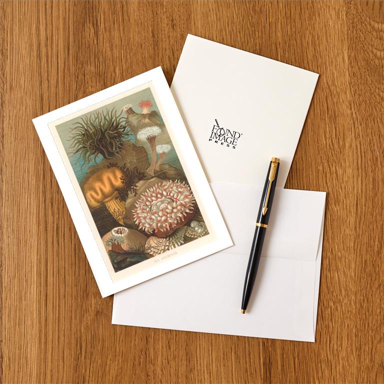 Greeting Card TS-362