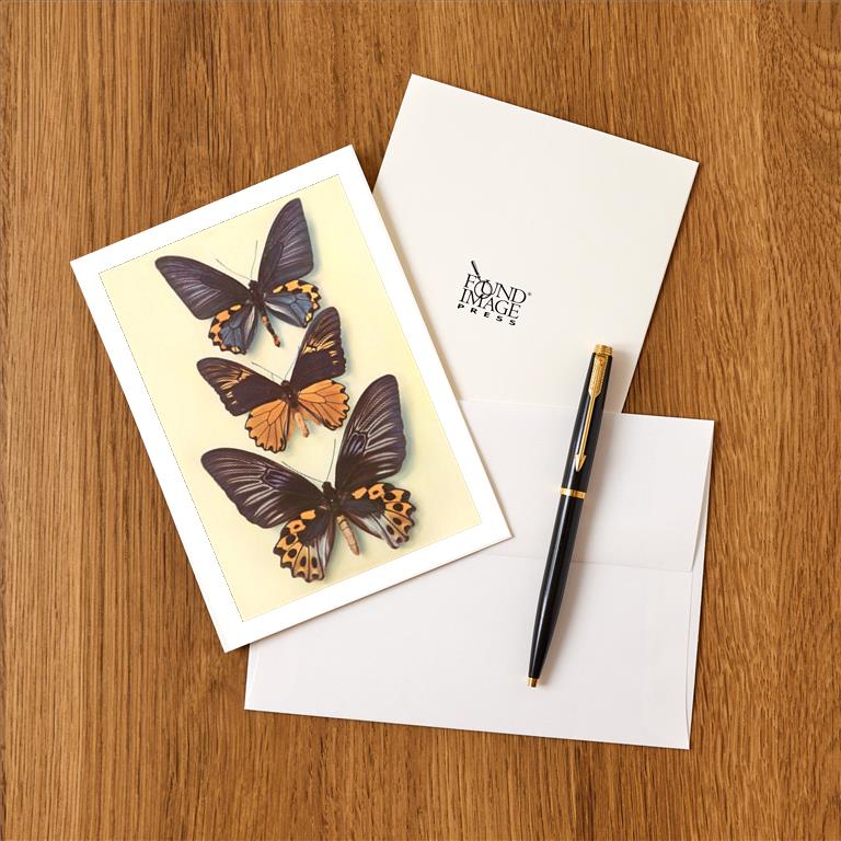 Greeting Card IS-146