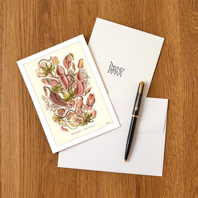 Greeting Card SE-106