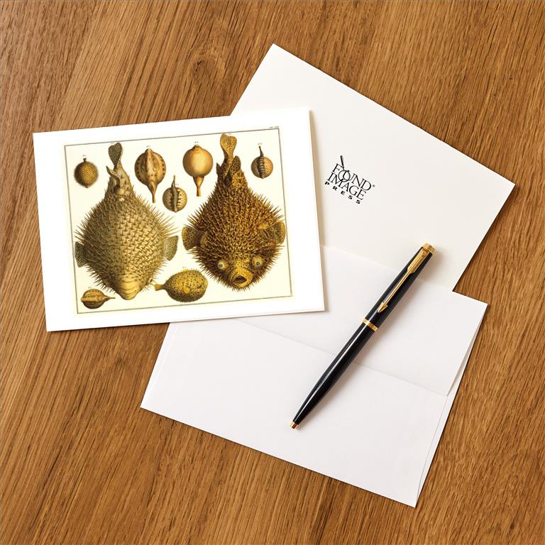 Greeting Card AN-278