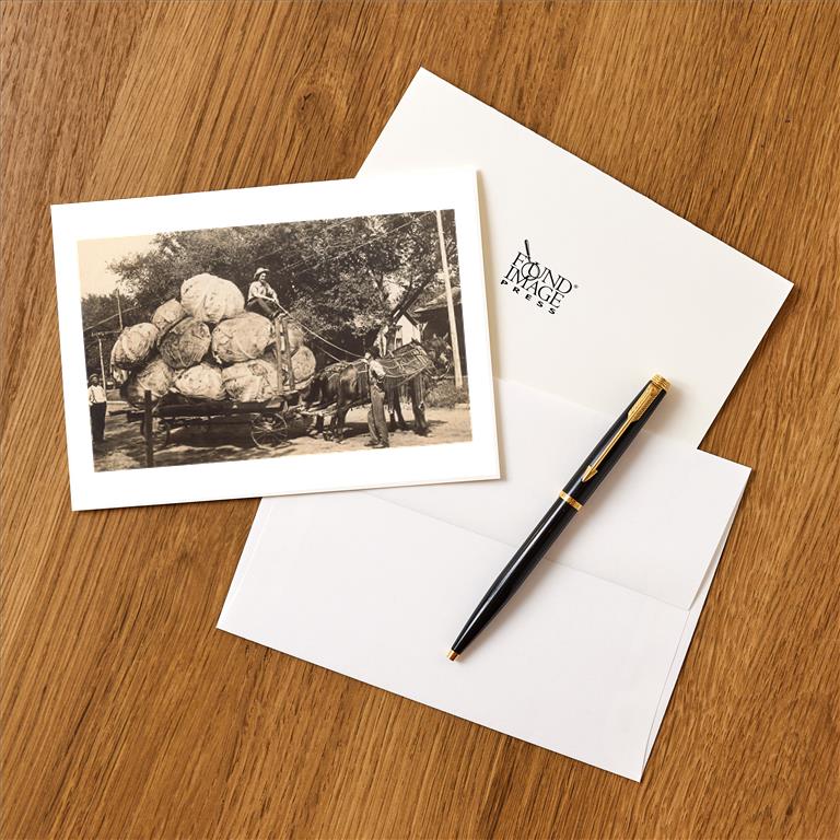 Greeting Card FR-257