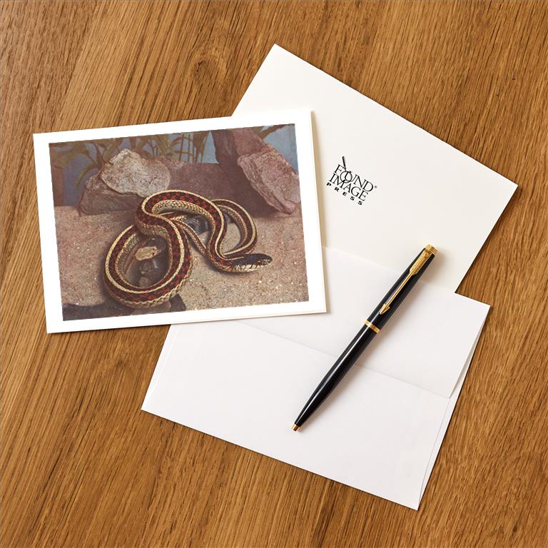 Greeting Card AN-291