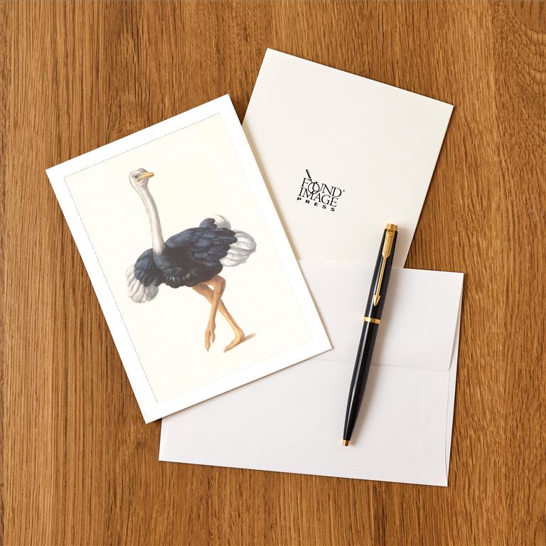 Greeting Card BD-557