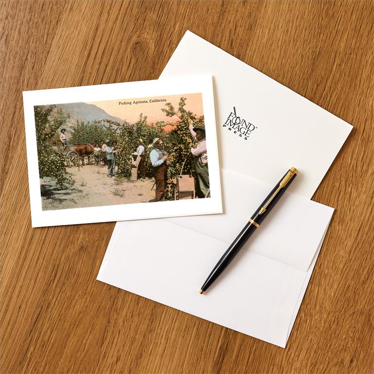 Greeting Card CA-314