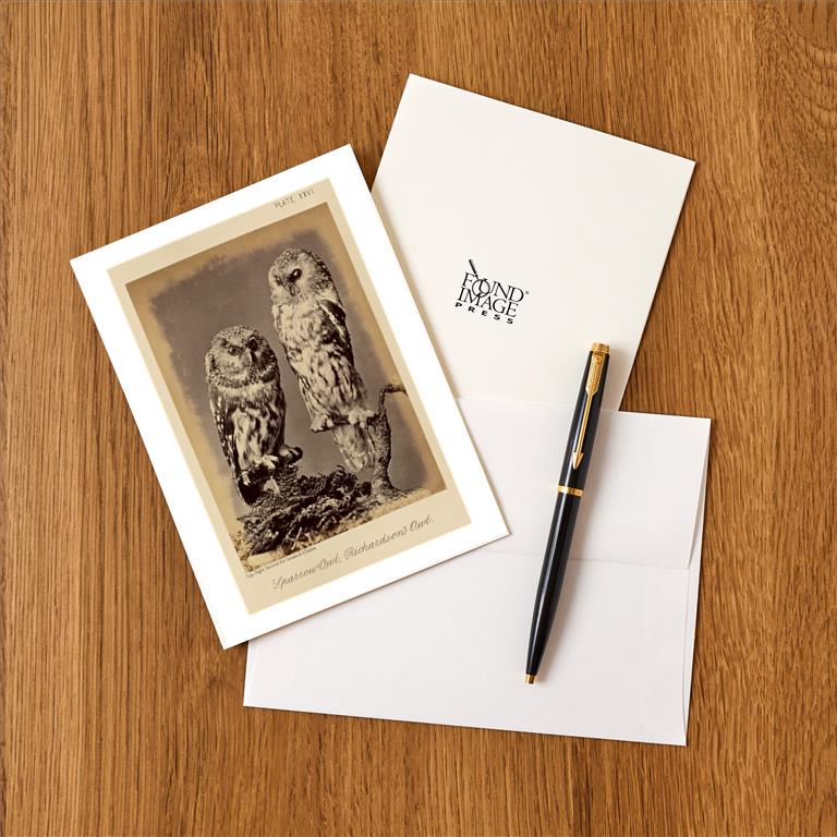 Greeting Card BD-443