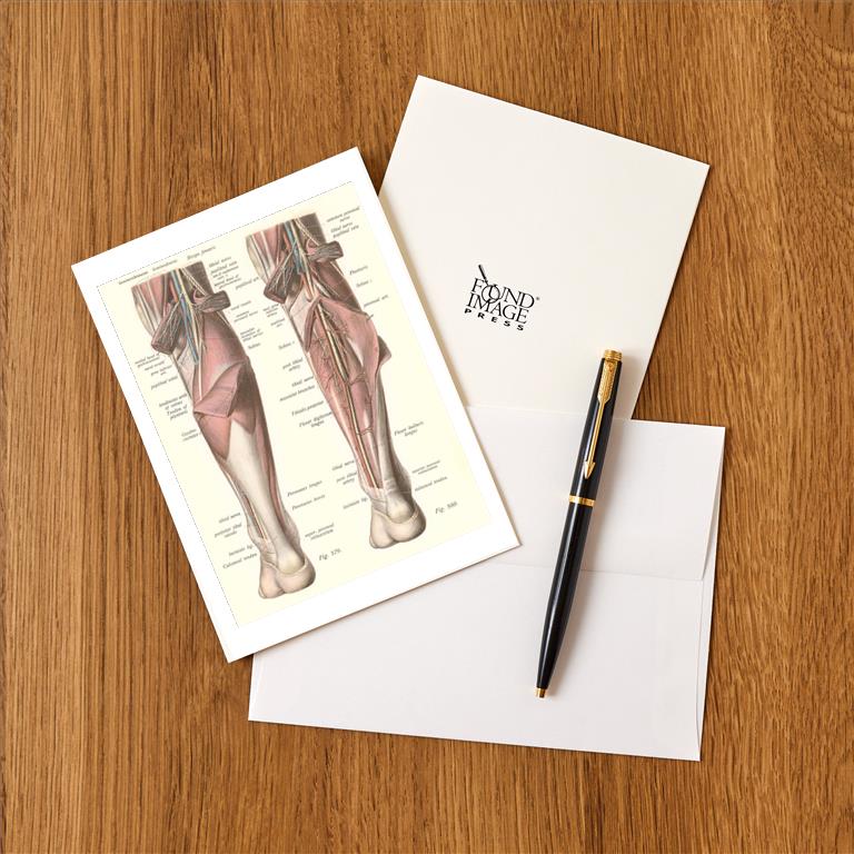 Greeting Card AY-161