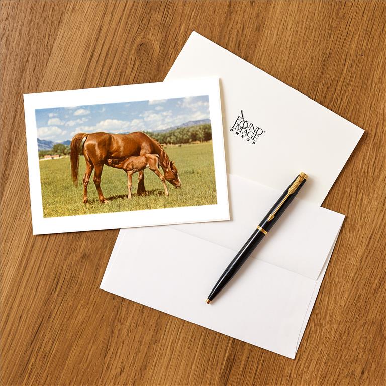 Greeting Card EQ-44