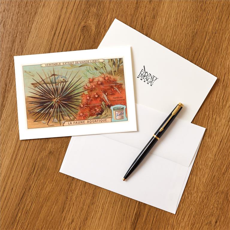 Greeting Card TS-81