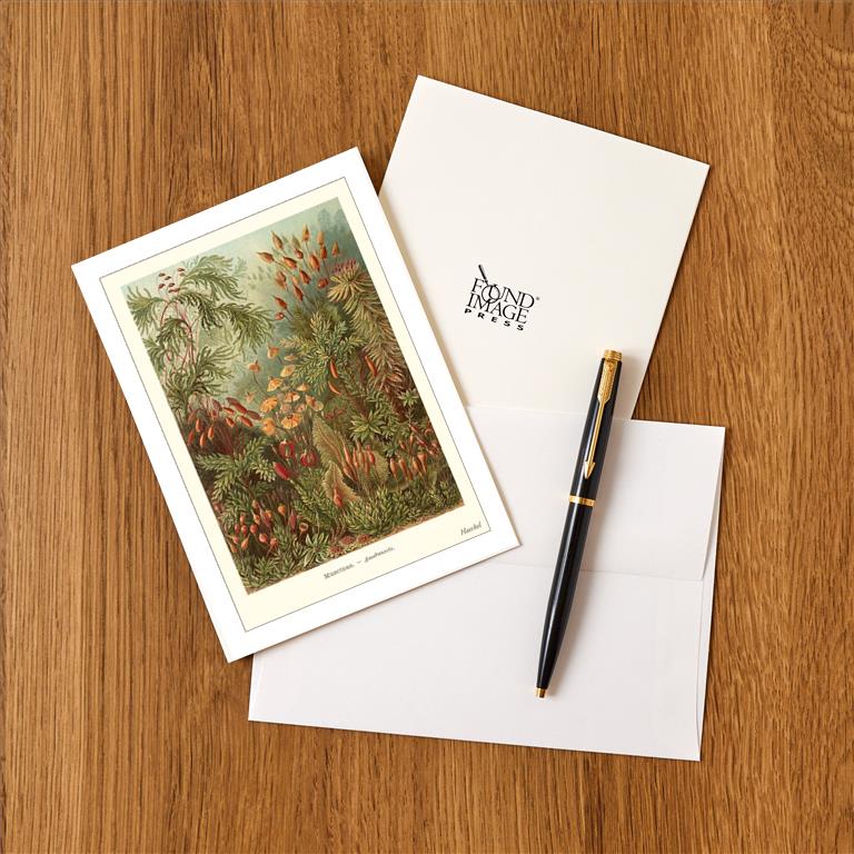 Greeting Card SE-111