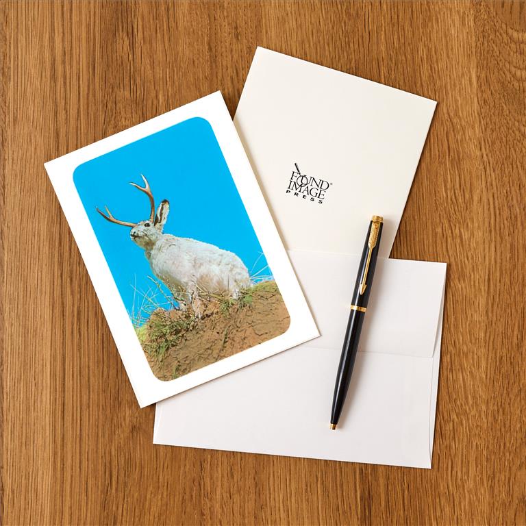 Greeting Card NP-398