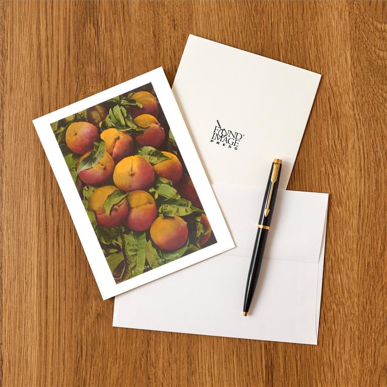 Greeting Card FR-313