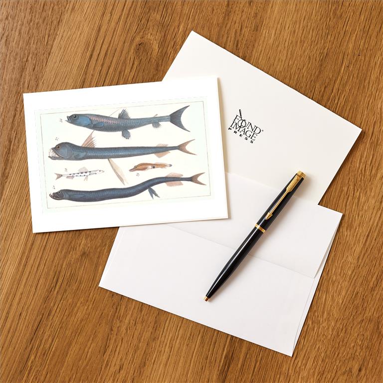 Greeting Card AN-266