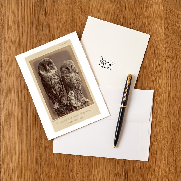 Greeting Card BD-441