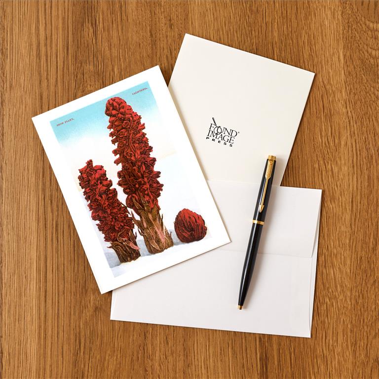 Greeting Card CA-476